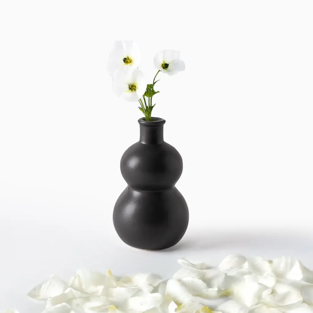 _RR_0007 copy (1) copy.webp